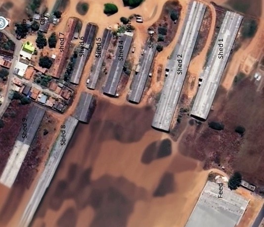 Aerial topography map of EKP poultry site in Namakkal showing 52-camera AI layout and Tree-in-Air network backbone.